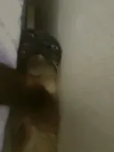 우리집 고양이 귀여운 사진 한장 평가해주세요
