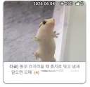유게이들 똥꼬닦고 냄새맡아봄?