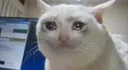 리자오밍18 현재 심경 ㅋㅋㅋ