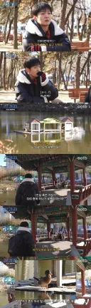 인하대 호수에 살고 있는 기계 오리.JPG