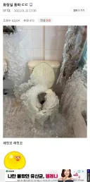 지금 올리면 분명 ai 짤이라고 욕 먹을 사진