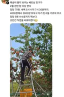 월 천만원 버는 베트남 노동자