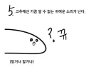 여자들이 모르는 꼬추에 대한 비밀