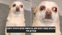 커뮤하다가 굉장히 뻘쭘해지는 순간.jpg
