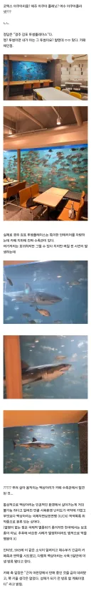 백상아리가 전시된 경주의 어느 카페