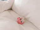 아침을 여는 도로롱