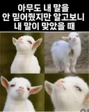 실존 인물에 중립 지키면 자주 할 수 있는 행동