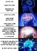 대체역사 덕후들이 소설보면서 받는 도파민 순위