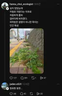 xx맘의 등장...