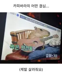 카피바라의 어떤 결심