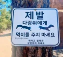 다람쥐에게 먹이를 주지 마시오 최고 난이도.GIF