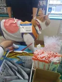 편순이 가슴 만지는 짤