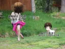 요즘 새벽은 똥짤 없어서 좋긴 하더라