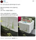 남포동 금손 할아버지