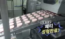 버거 수제 패티 생산 과정