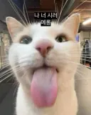 내가 유게이들을 단 한 명도 차단 안하는 이유