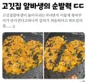 알바생 : 아이고 죄송합니다 ㅠㅠ