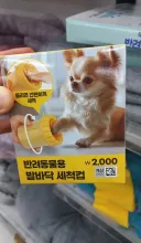 다이소 신상품