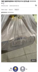 올림픽공원 근황....(치킨들고 튐)