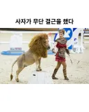 사자가 무단 결근을 했다.jpg