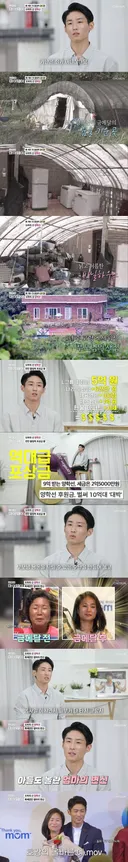 아들의 효도.jpg