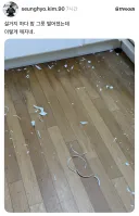 박살난 모습만 봐도 브랜드를 알수있는 제품.jpg