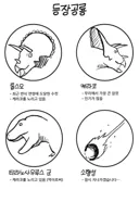 NTR 만화 등장인물