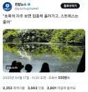 블루아카)"초록색 자주 보면 집중력 올라가고, 스트레스는 줄어"