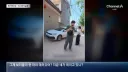 중국 난리 난 스타 강아지 사건