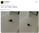 파리의 성생활.jpg