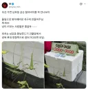 리얼 창조경제