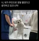 쭈인!!! 내가 비록 입질도하고 좋아하는 간식 안주면 그르렁거렸지만