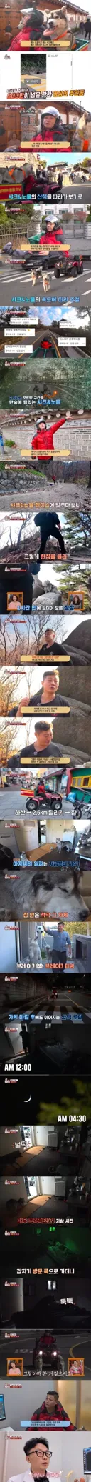 학대 논란이 있는 허스키 견주