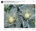 농약 몸에 안좋으니까 쓰지말라고요?