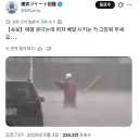 일본 배달기사 근황