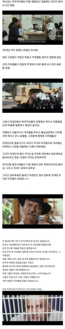 카르텔에 맞서며 이상에 불타던 멕시코 농민 자경단의 최후