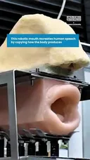 소리] 스피커가 아닌 공기, 혀, 성대를 이용해 소리 내는 법 연구중.mp4