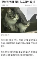 편의점을 노리는 모녀