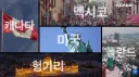 한식 인기 근황
