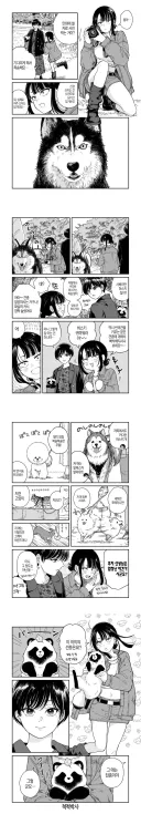 견종 알아맞추는