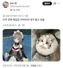 원신) 볼때마다 왜케 귀여운 싼드로네