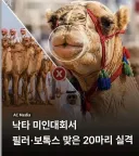 필러, 보톡스 맞아서 미인대회 실격.jpg