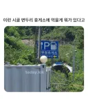 이런 시골 휴게소에 머 먹을게 있다고...