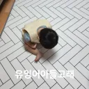 자꾸 정떡 하면 나같은 유게뉴비는 무슨생각하는줄알아?