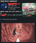 사쿠라 !!! 넣는다 !!!!!!!