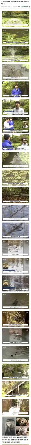 잉어 5천만원 어치를 훔쳤어도 특권으로 인해 처벌못함.JPG