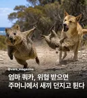 무스펠 깼어요