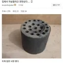 집에서 자1살하려고 연탄 산 디씨인