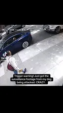 브금] 자기 개를 통제할 수 없으면 기르지 말아야 하는 이유.mp4