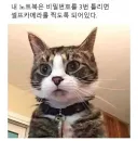 비밀번호 3회 틀리면 셀카찍도록 세팅된 노트북.jpg